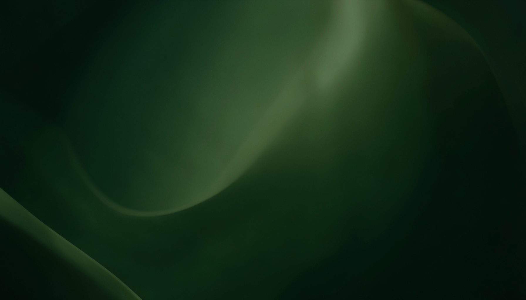 A softly lit abstract backdrop in deep forest green and muted olive tones, with gentle organic curves suggesting growth and discovery.